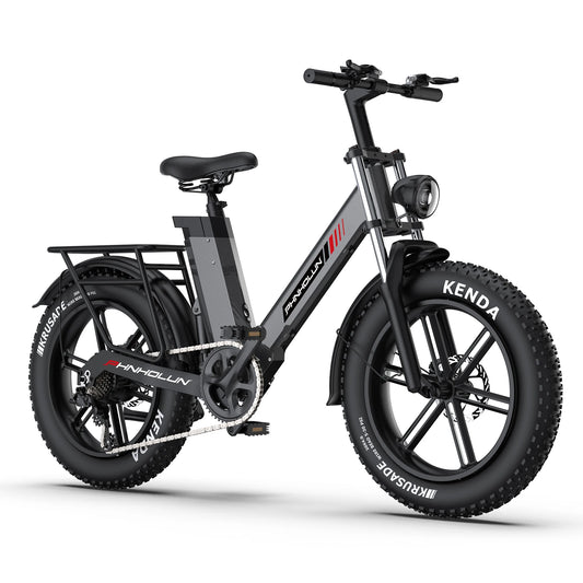 Off Road Electric Bike 740W Powerful Motor, 48V20AH Lithium Battery with a Range Of 50 Miles, Adult High-speed Mountain eBike